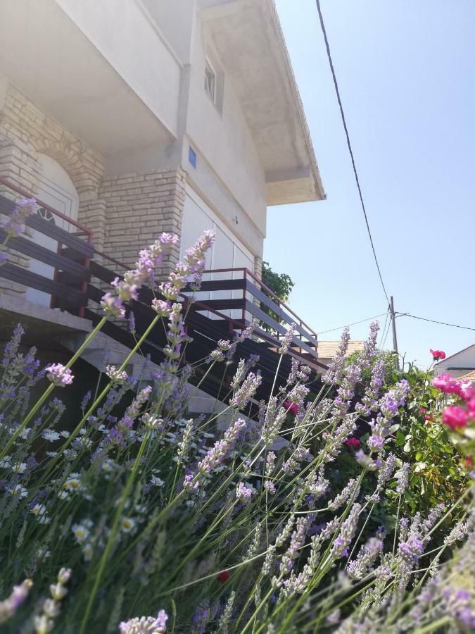 Apartmani Marija Pasman Ngoại thất bức ảnh