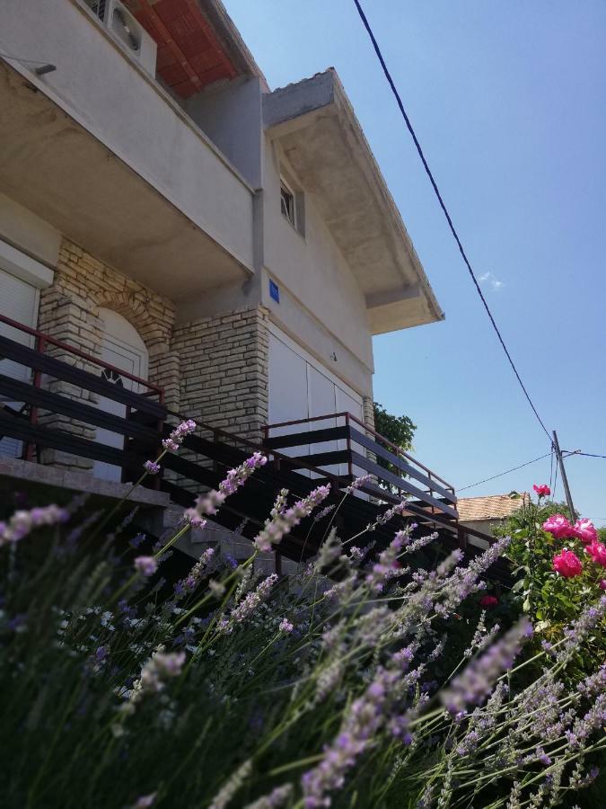 Apartmani Marija Pasman Ngoại thất bức ảnh